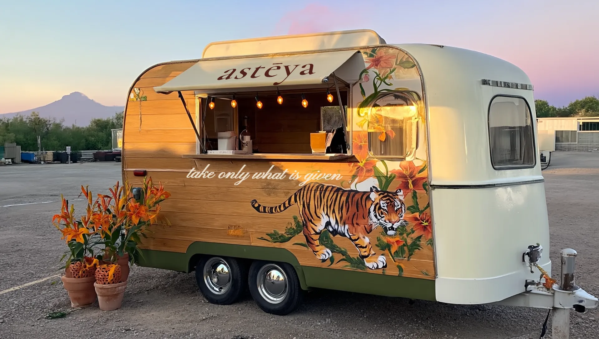 A cream and wood coffee trailer at golden hour, lettered astēya on its awning, with a painted tiger and orange tiger lilies on its side